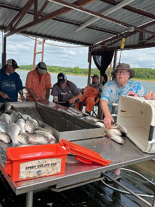 Cleaning Fish