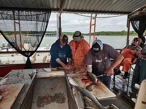 Cleaning Fish