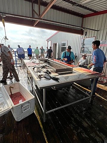 Cleaning Fish